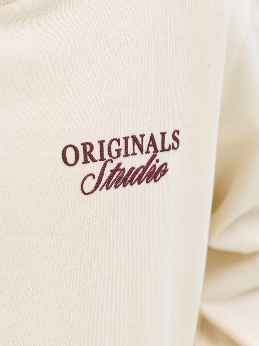 Jack & Jones Jungen Hoodie 12284069 JORNORREBRO TYPO BACK