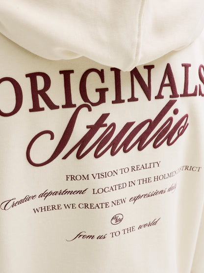 Jack & Jones Jungen Hoodie 12284069 JORNORREBRO TYPO BACK