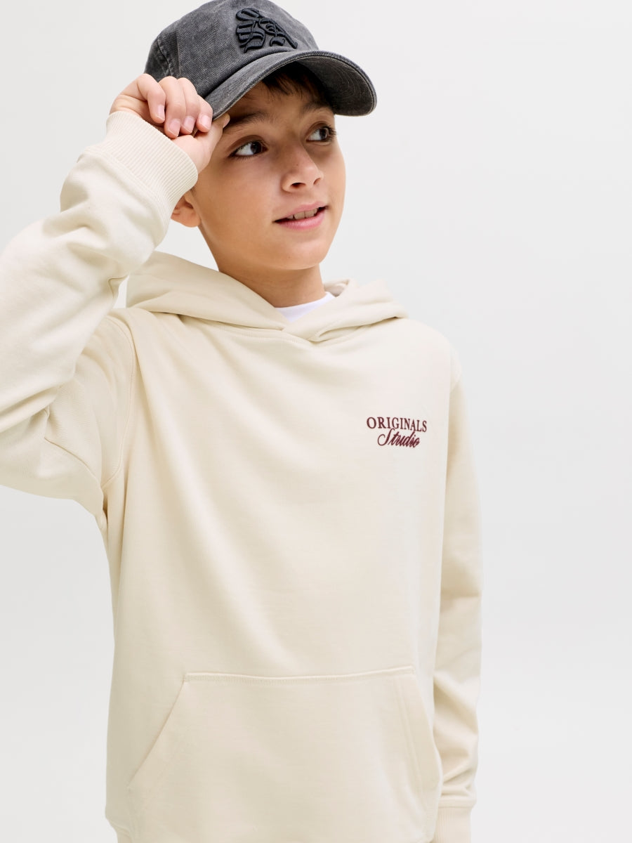 Jack & Jones Jungen Hoodie 12284069 JORNORREBRO TYPO BACK