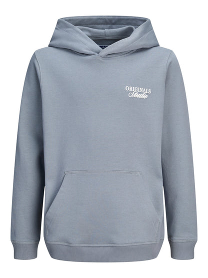 Jack & Jones Jungen Hoodie 12284069 JORNORREBRO TYPO BACK