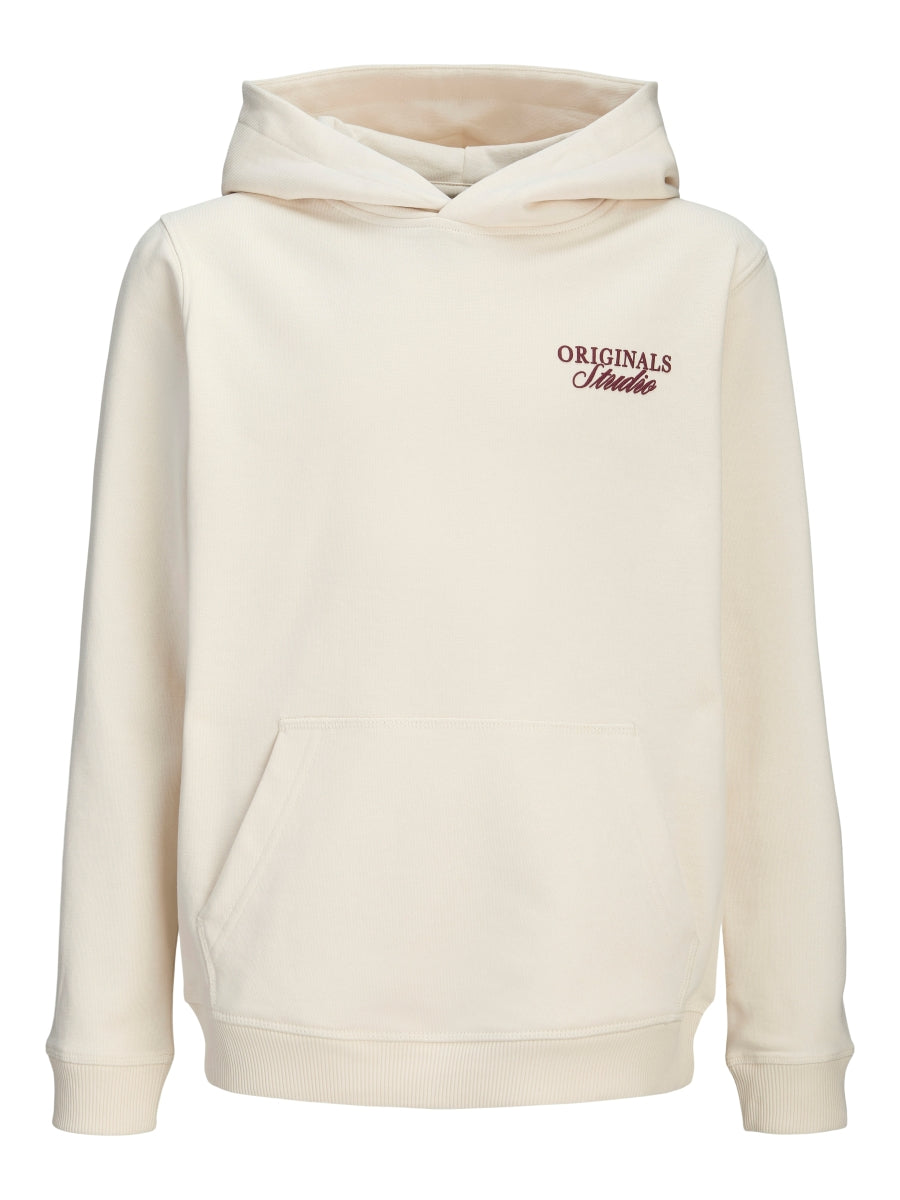 Jack & Jones Jungen Hoodie 12284069 JORNORREBRO TYPO BACK