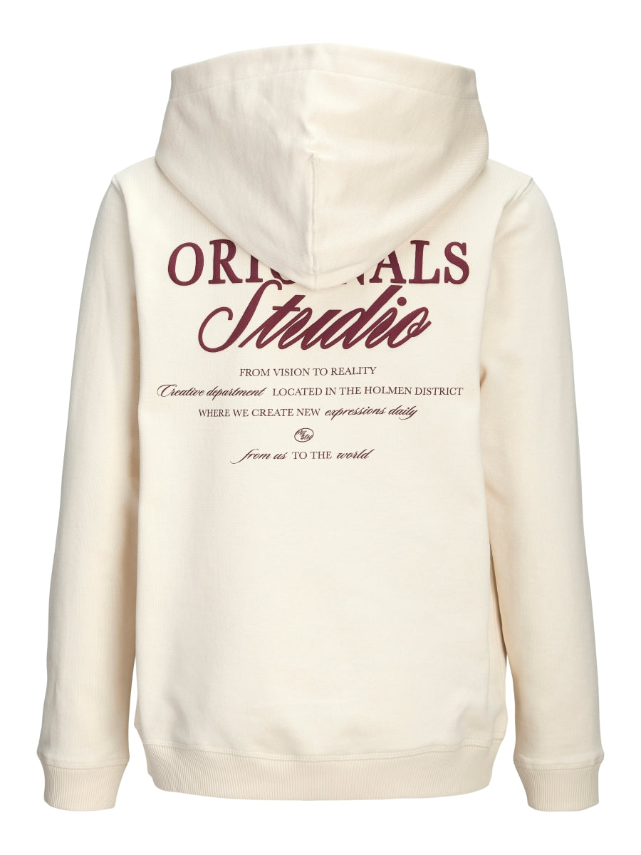 Jack & Jones Jungen Hoodie 12284069 JORNORREBRO TYPO BACK
