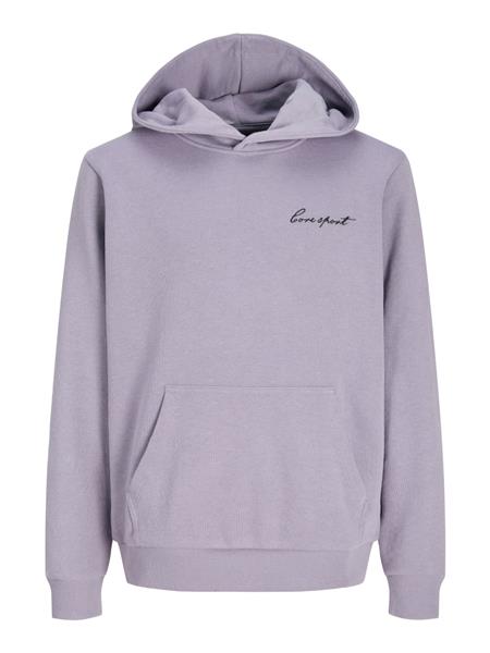 Jack & Jones Jungen Hoodie Kapuzenpullover JCODUST SCRIPT 12299804