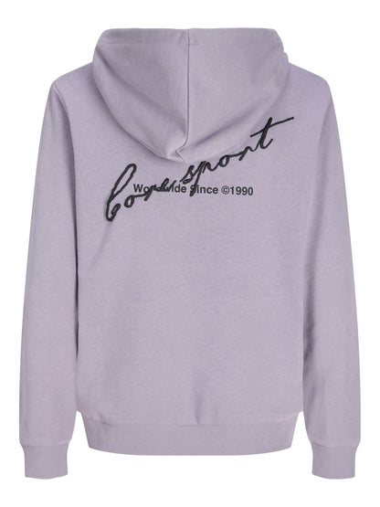 Jack & Jones Jungen Hoodie Kapuzenpullover JCODUST SCRIPT 12299804
