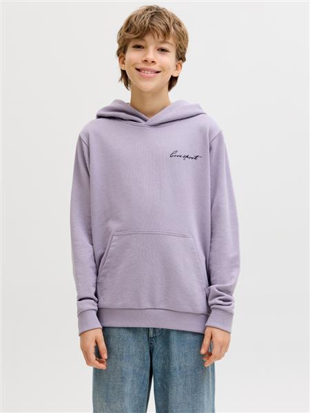 Jack & Jones Jungen Hoodie Kapuzenpullover JCODUST SCRIPT 12299804