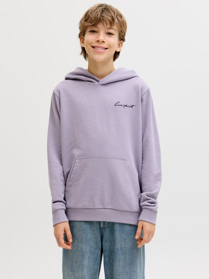 Jack & Jones Jungen Hoodie Kapuzenpullover JCODUST SCRIPT 12299804