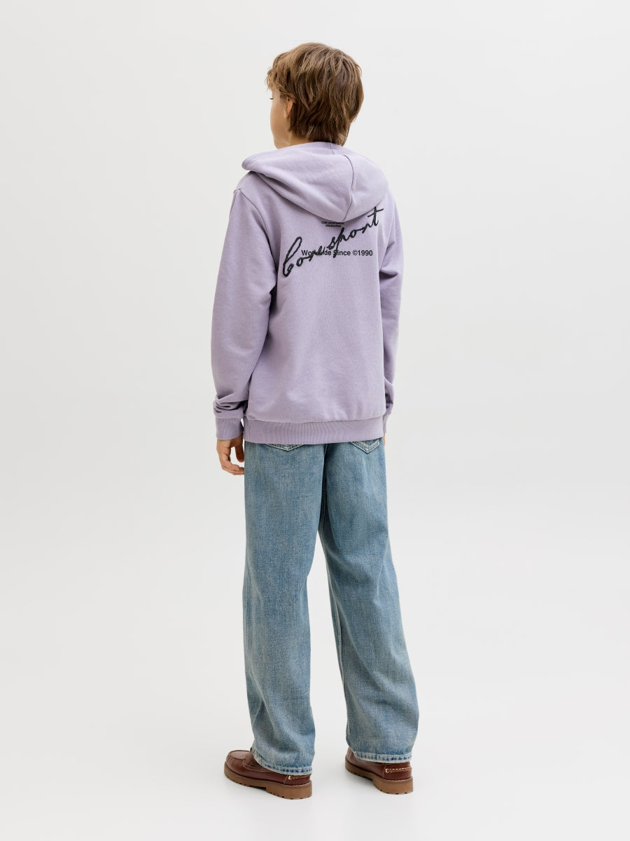 Jack & Jones Jungen Hoodie Kapuzenpullover JCODUST SCRIPT 12299804