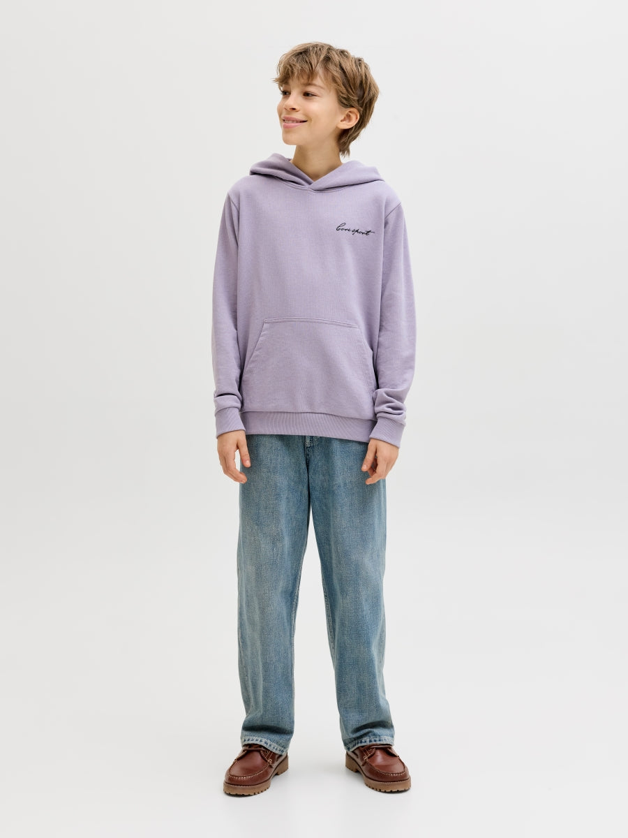 Jack & Jones Jungen Hoodie Kapuzenpullover JCODUST SCRIPT 12299804