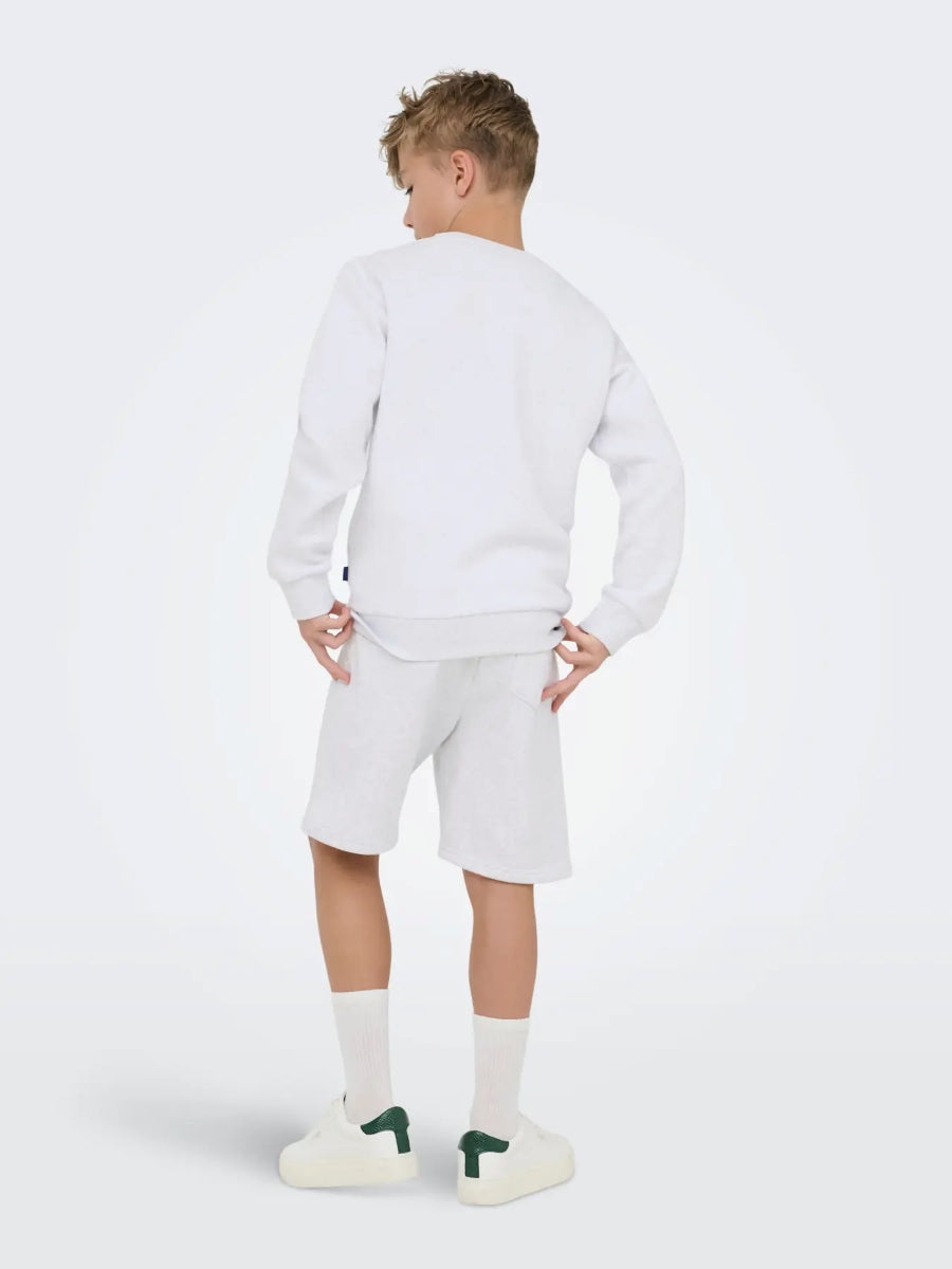 ONLY & SONS Jungen Sweatshorts OSJCERES 22033242