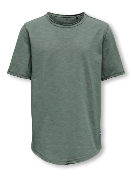 ONLY & SONS Jungen T-Shirt OSJBENNE 22032955