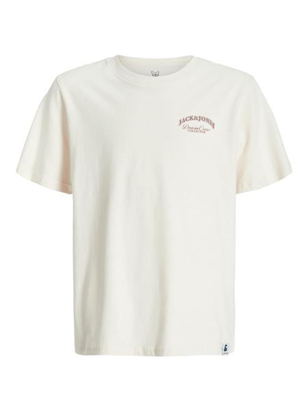Jack&Jones Jungen T-Shirt JJEBRANDES BACKP 12269310