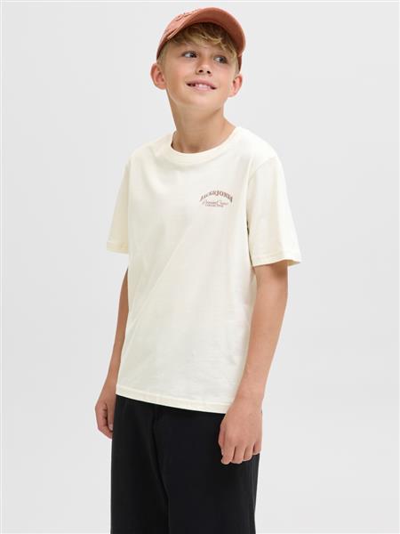 Jack&Jones Jungen T-Shirt JJEBRANDES BACKP 12269310