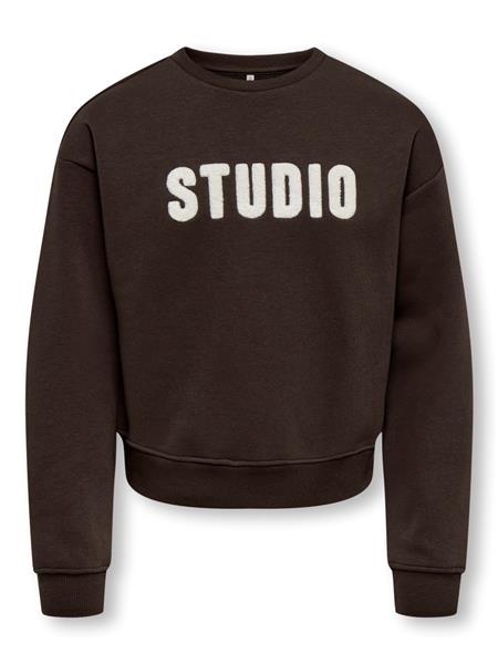 Only Mädchen Sweatshirt KOGSWEAT 15353354