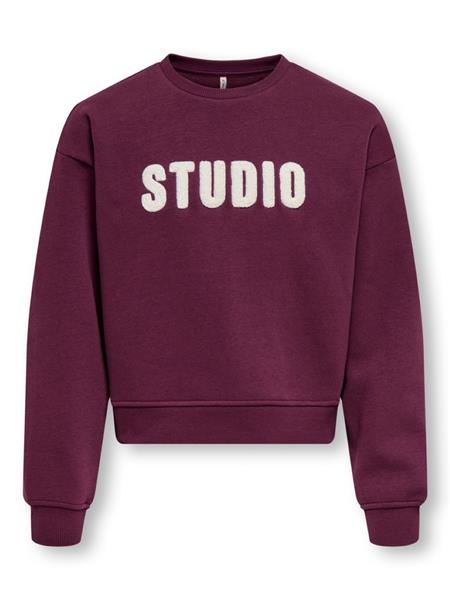 Only Mädchen Sweatshirt KOGSWEAT 15353354
