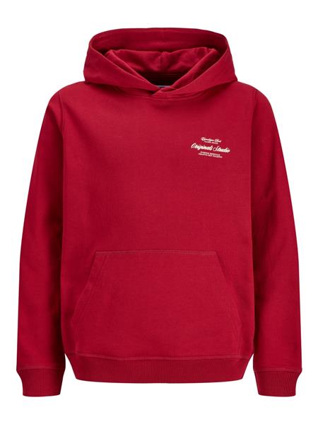 Jack & Jones Jungen Hoodie 12284069 JORNORREBRO TYPO BACK