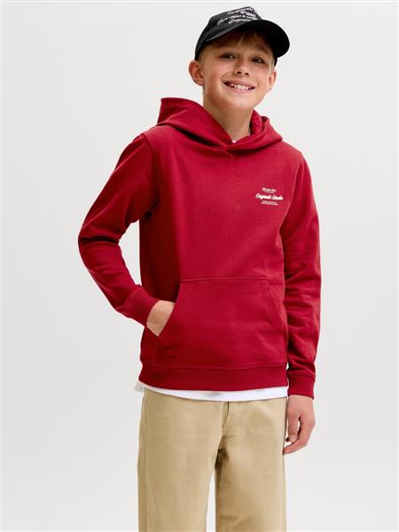 Jack & Jones Jungen Hoodie 12284069 JORNORREBRO TYPO BACK