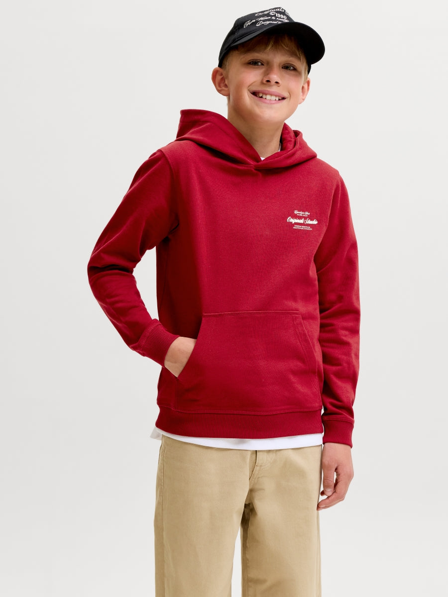 Jack & Jones Jungen Hoodie 12284069 JORNORREBRO TYPO BACK
