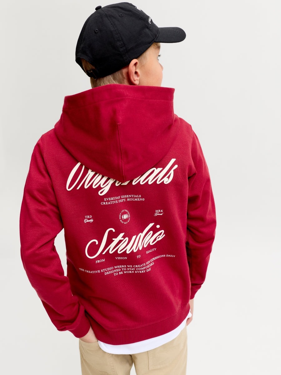 Jack & Jones Jungen Hoodie 12284069 JORNORREBRO TYPO BACK