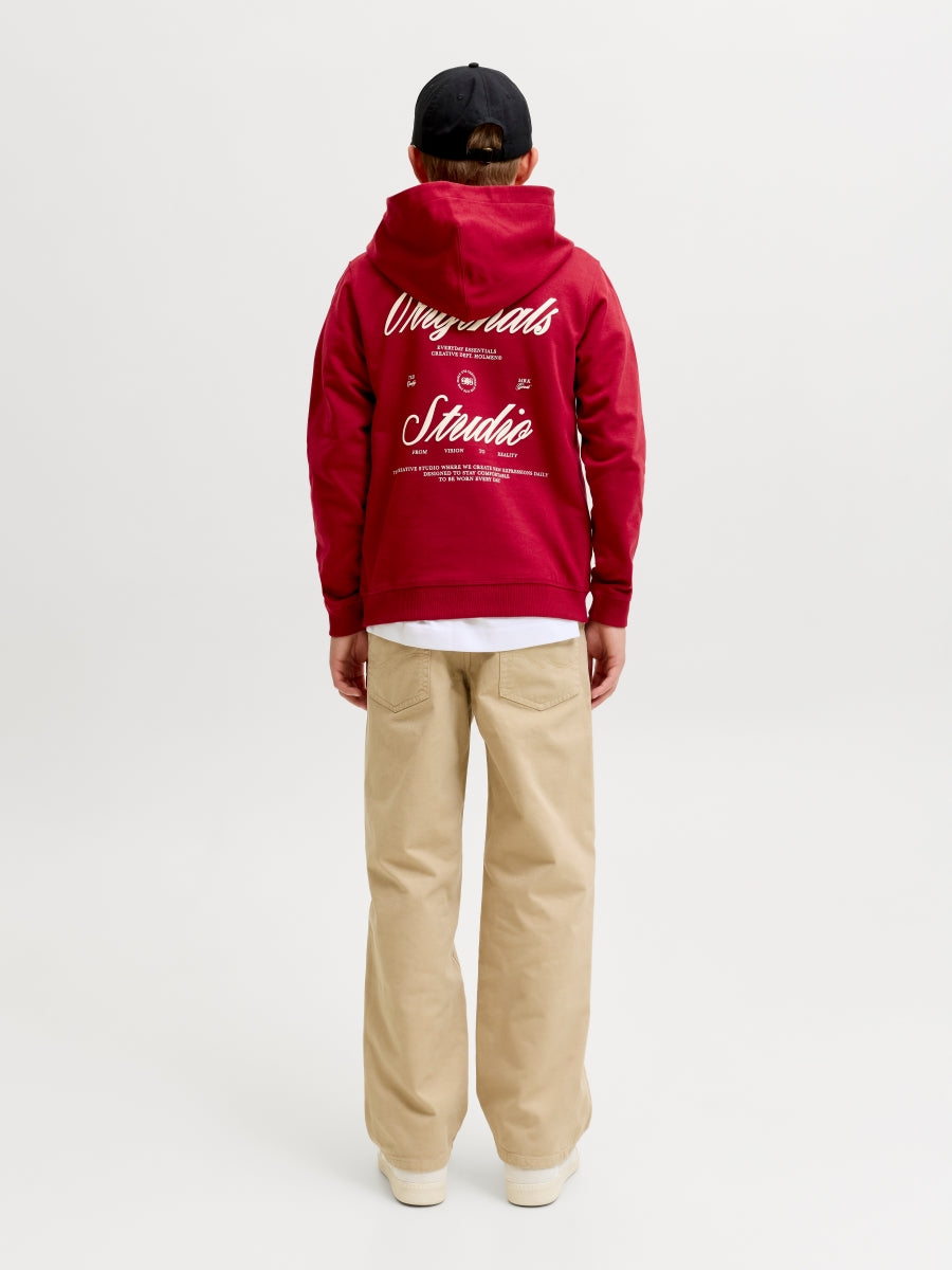Jack & Jones Jungen Hoodie 12284069 JORNORREBRO TYPO BACK