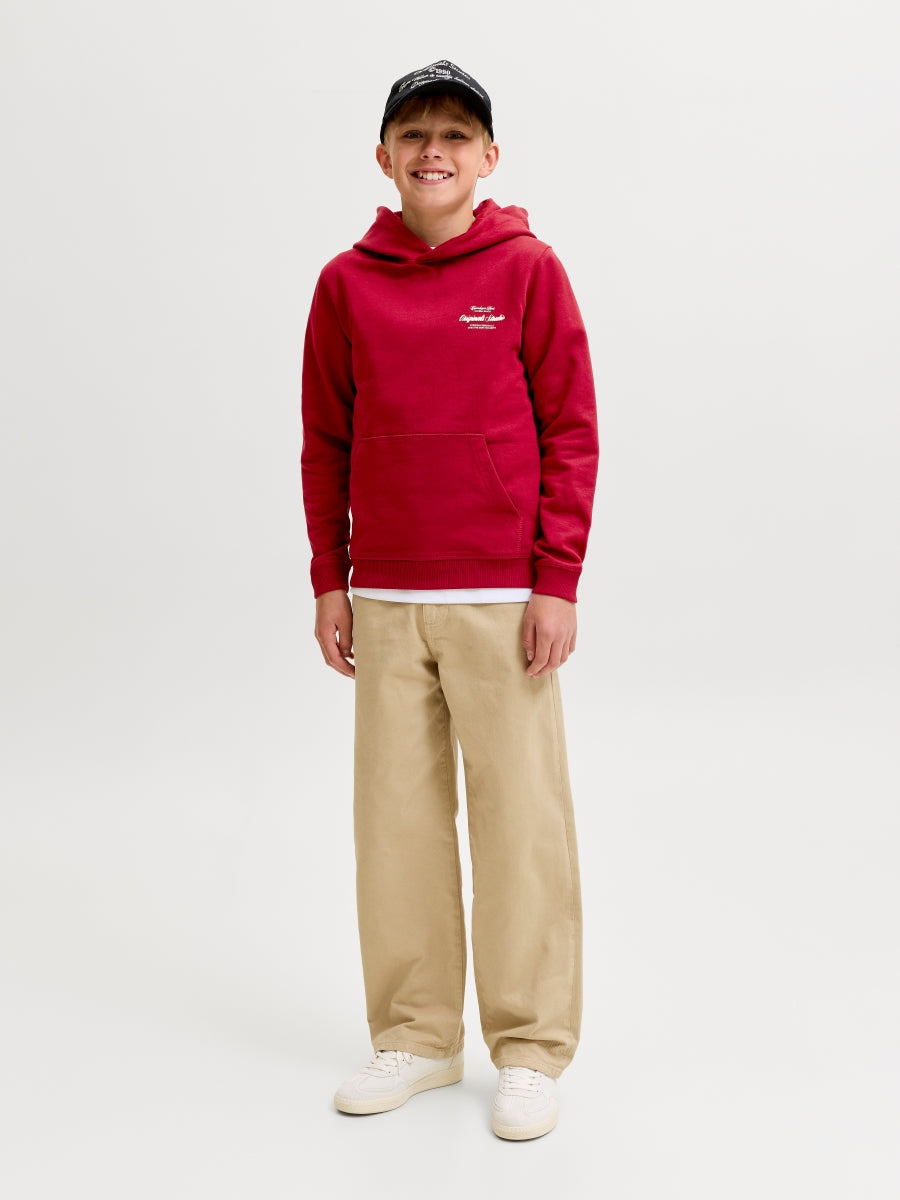 Jack & Jones Jungen Hoodie 12284069 JORNORREBRO TYPO BACK
