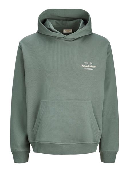 Jack & Jones Jungen Hoodie 12284069 JORNORREBRO TYPO BACK