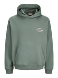 Jack & Jones Jungen Hoodie 12284069 JORNORREBRO TYPO BACK