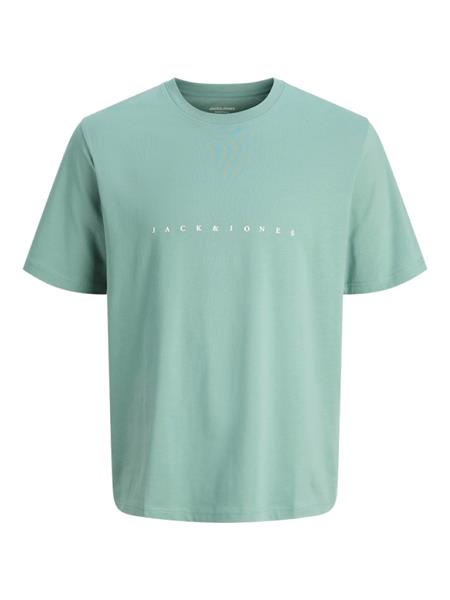 Jack & Jones Jungen T-Shirt Kurzarm Logo JJESTAR