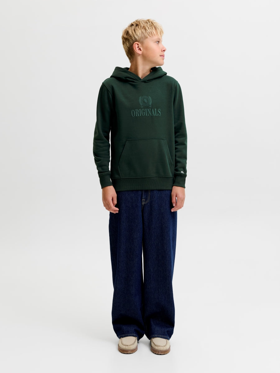 Jack & Jones Jungen Hoodie JORFREDERIKSBERG 12301416