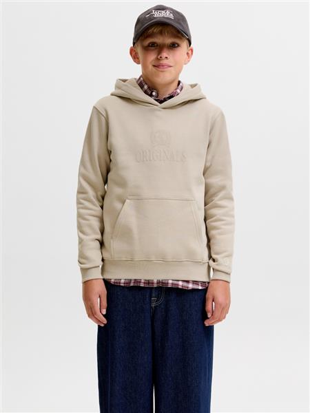 Jack & Jones Jungen Hoodie JORFREDERIKSBERG 12301416