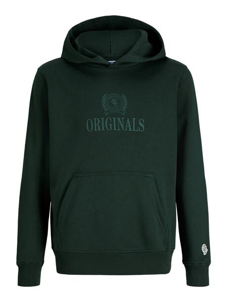 Jack & Jones Jungen Hoodie JORFREDERIKSBERG 12301416