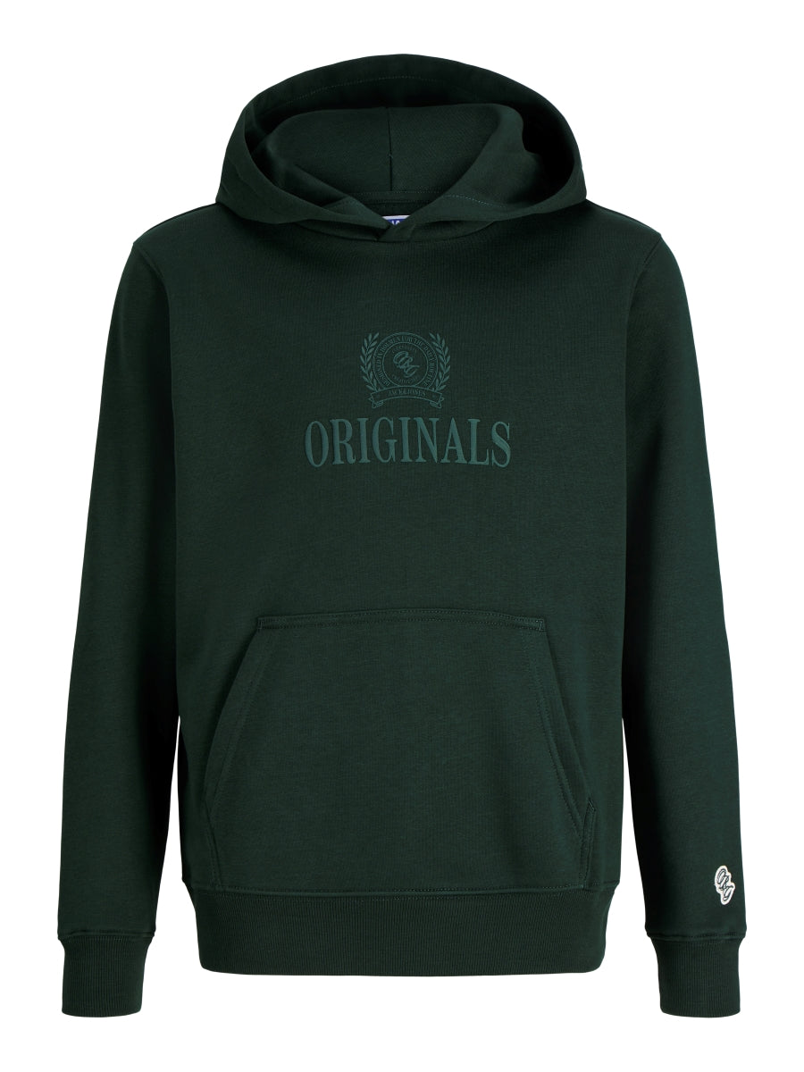Jack & Jones Jungen Hoodie JORFREDERIKSBERG 12301416