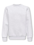 ONLY & SONS Jungen Sweatshirt OSJCERES 22033239