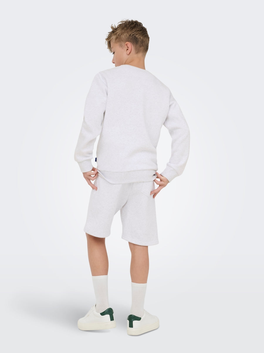 ONLY & SONS Jungen Sweatshirt OSJCERES 22033239
