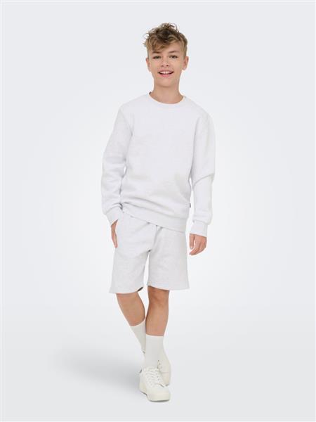 ONLY & SONS Jungen Sweatshirt OSJCERES 22033239