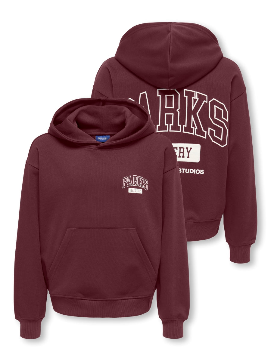 ONLY & SONS Jungen Hoodie Backprint 22039850