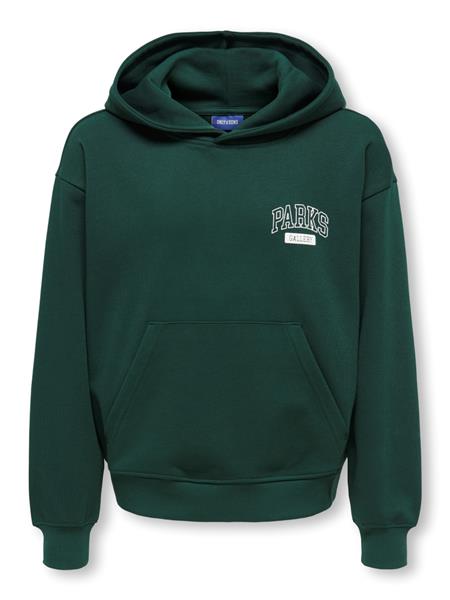 ONLY & SONS Jungen Hoodie Backprint 22039850