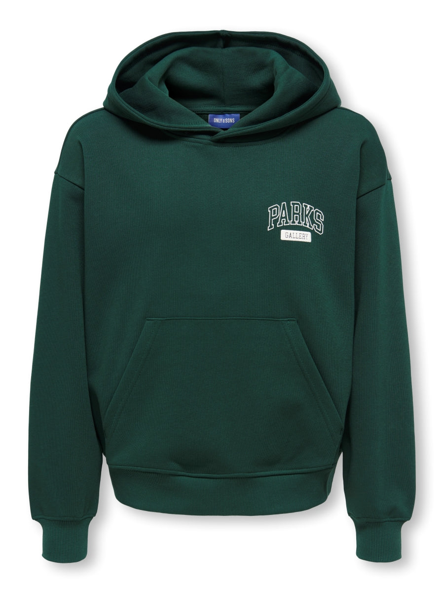 ONLY & SONS Jungen Hoodie Backprint 22039850