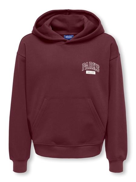 ONLY & SONS Jungen Hoodie Backprint 22039850
