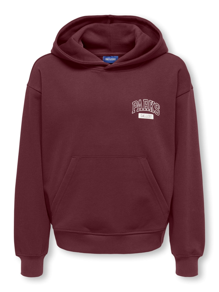 ONLY & SONS Jungen Hoodie Backprint 22039850