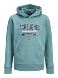 Jack & Jones Jungen Hoodie Kapuzenpullover JJELOGO 12279744