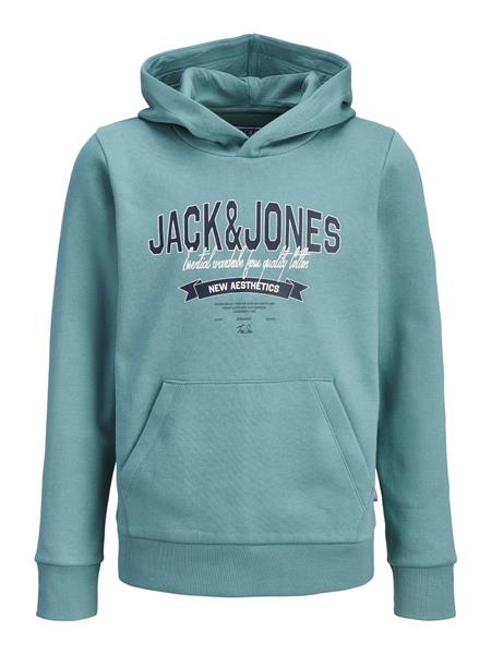 Jack & Jones Jungen Hoodie Kapuzenpullover JJELOGO 12279744