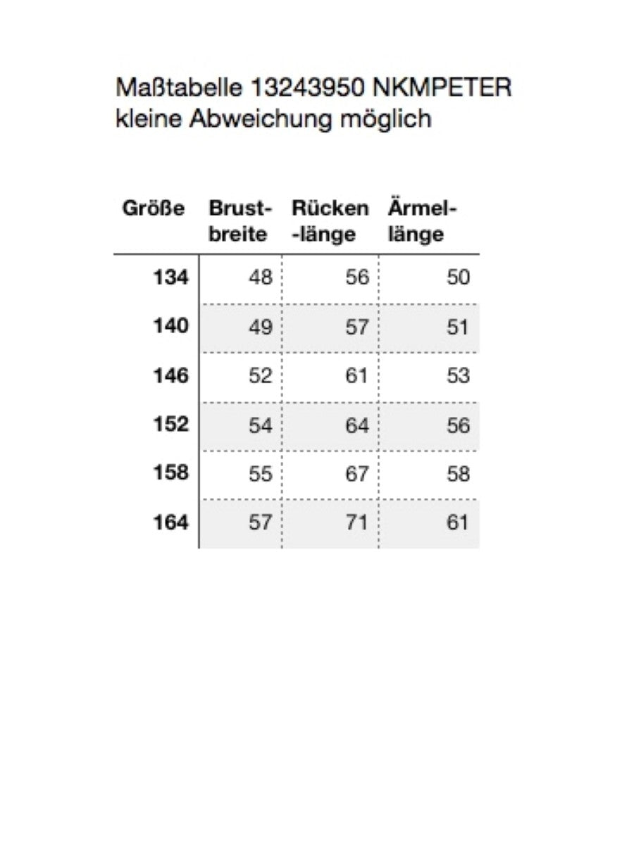 Name it Jungen Winterjacke NKMPETER PUFFER 13243950