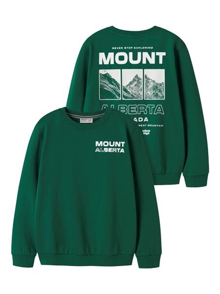 Name it Jungen Sweatshirt leicht NKMOBUSTER 13260360