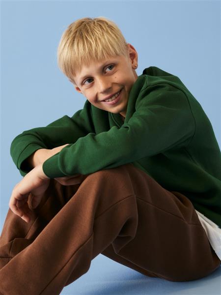 Name it Jungen Sweatshirt NKMLAMAR 13264188