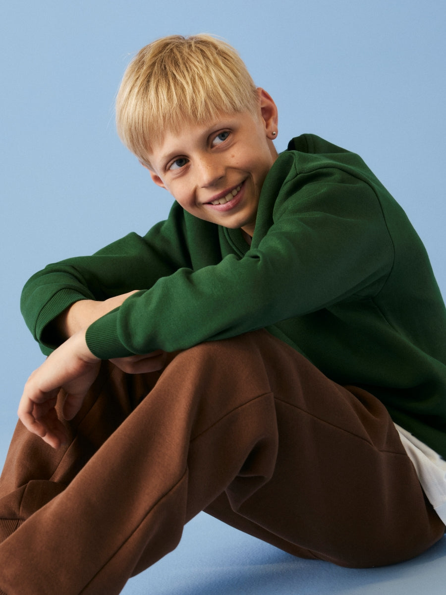 Name it Jungen Sweatshirt NKMLAMAR 13264188