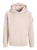 Jack & Jones Jungen Hoodie JJCLEVELAND 12299744