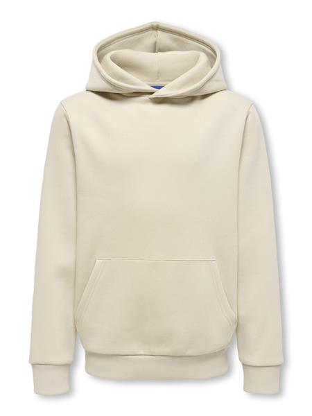 ONLY & SONS Jungen Hoodie OSJCERES