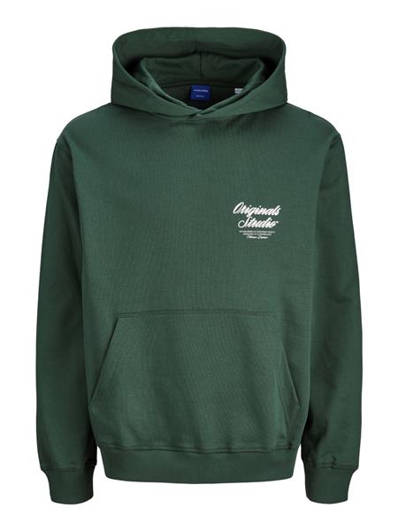 Jack & Jones Jungen Hoodie JWHNORREBRO TYPO BACK 12297737