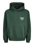 Jack & Jones Jungen Hoodie JWHNORREBRO TYPO BACK 12297737